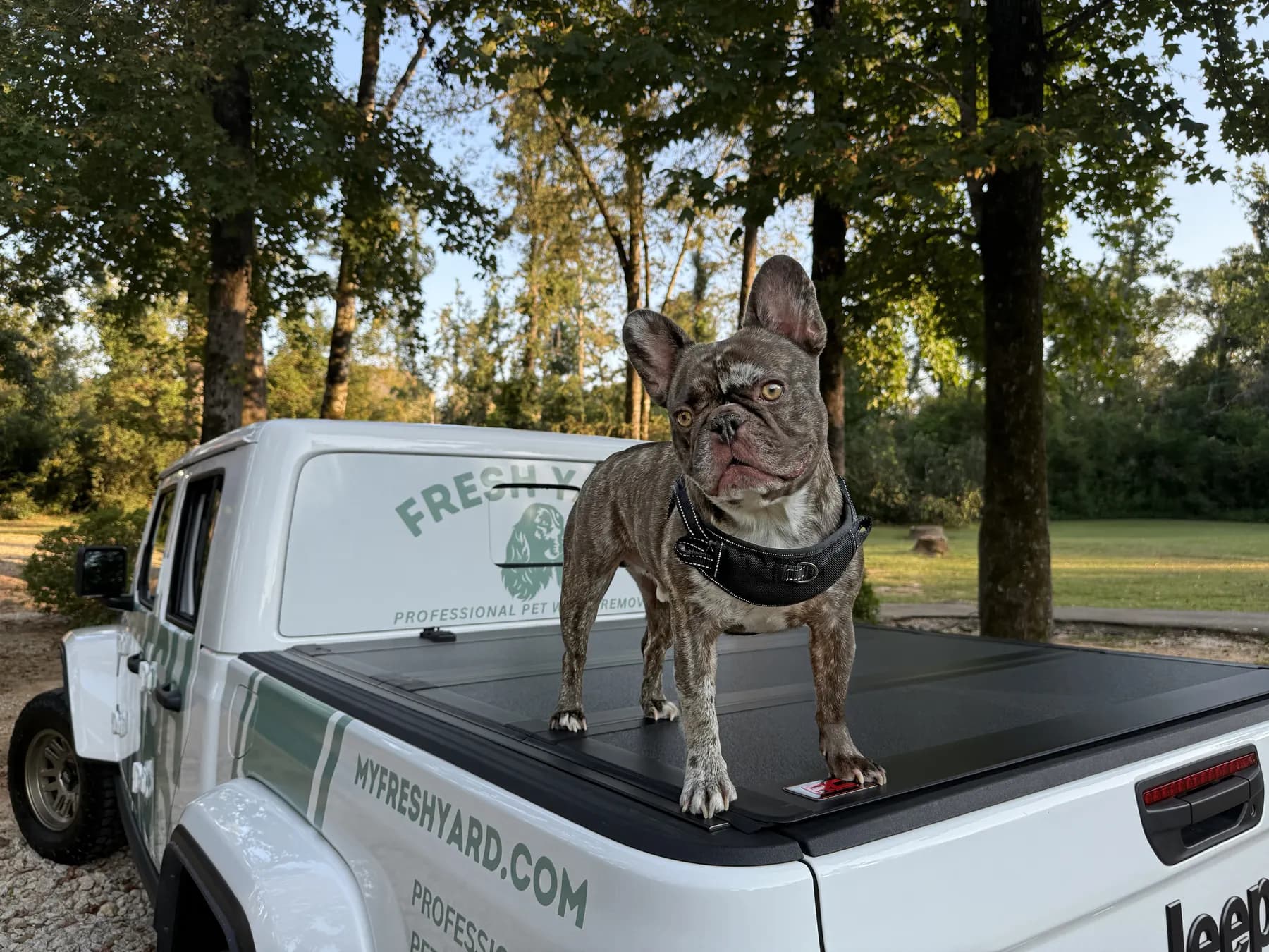 Moose on the Fresh Yard truck